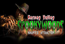 spookywoods.jpg