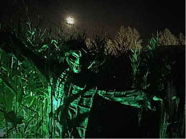 corn maze scare crow